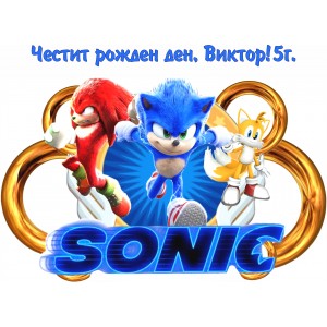 Принт Sonic 14 персонализиран